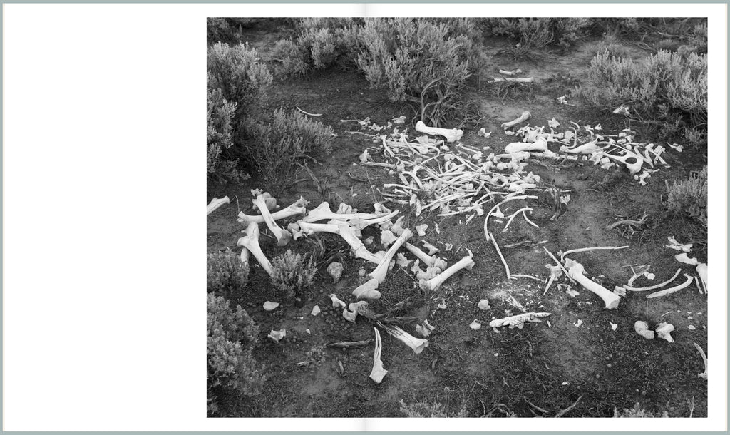 Kris Graves Projects NFT tweet media