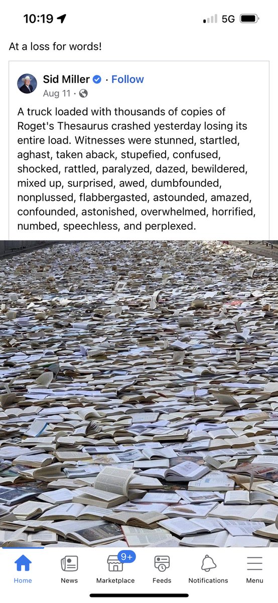 Julianne Tripple tweet media