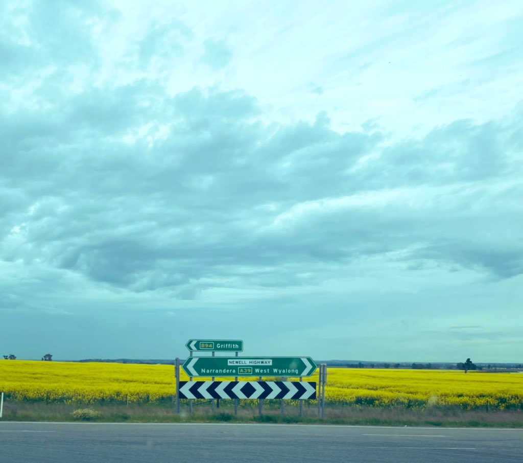 Homeward bound via golden fields. Another whirlwind trip and worth every minute! #RWA2022 <a href="/AgriFuturesAU/">AgriFutures Australia</a>