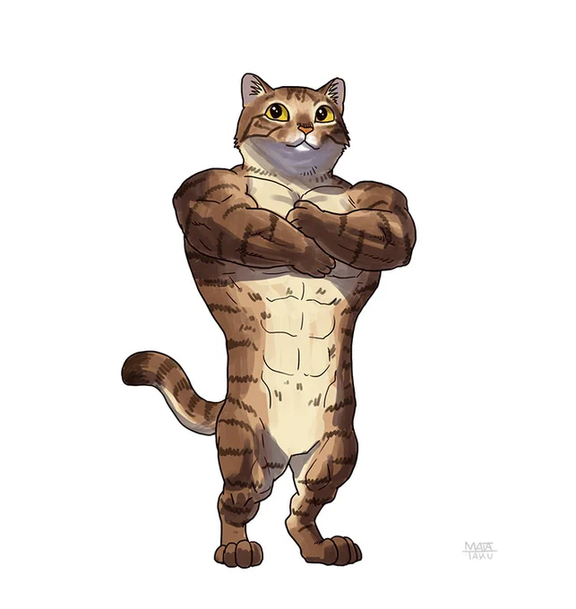 猫。マンチカン。#動物レスラー 