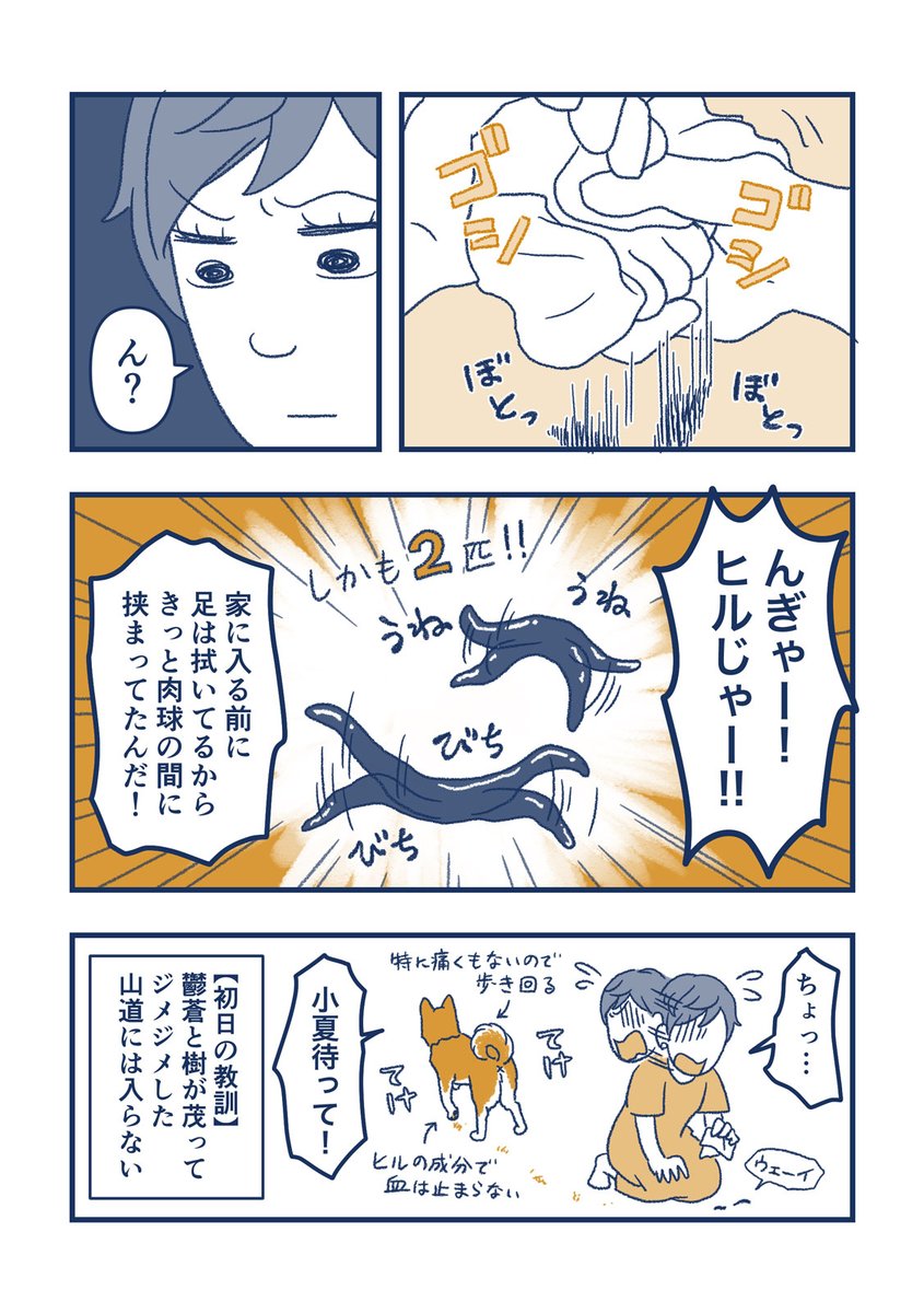 【犬の漫画】移住1日目の洗礼 