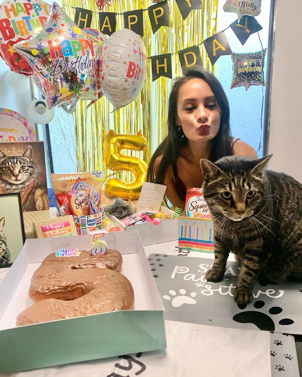Happy 5th Birthday to my baby, Jagger 💜🎉🥳🎂 The happiness (and utmost sass) you bring into our lives is unparalleled. We can’t remember what life was like before having you. Stay as naughty as you are 😹😻 there’s never a dull moment with you. It’s time to PAW-TYYYYY!! 🎉🐾