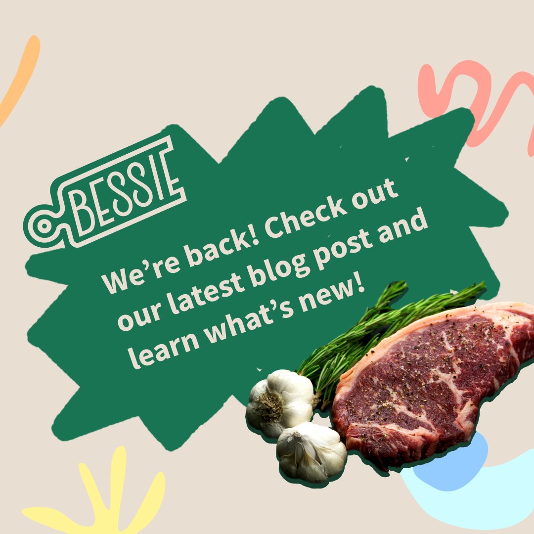 Bessie Box 🐮 tweet media
