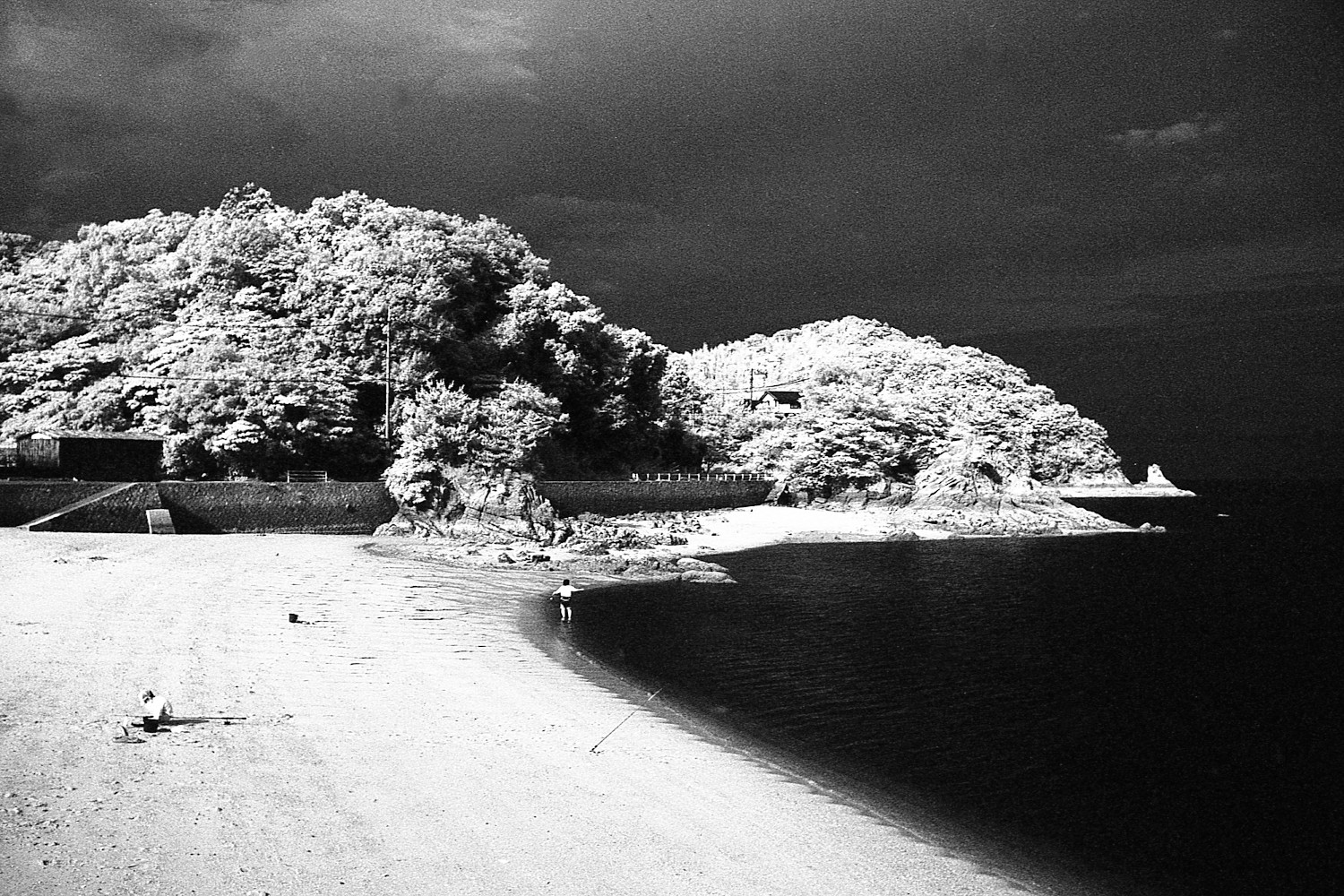 東京フィルムカメラ修理工房 on Twitter 