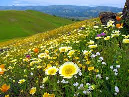 WioKim's tweet image. 