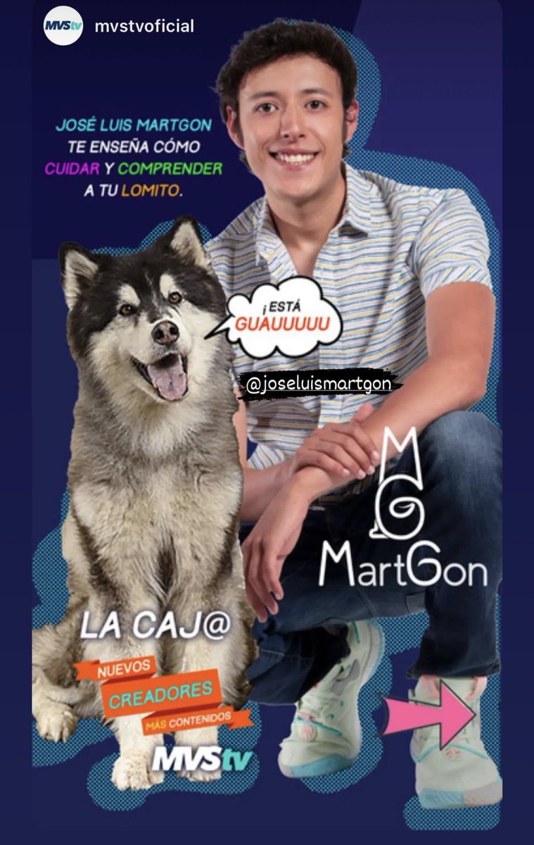 monykmartz's tweet photo. Muchas felicidades @JoseLuisMartGon por este gran paso con @MVStvOficial Estoy muy orgullosa de ti hermanito❤️😍 Eres el mejor! Te amo bebé! 🥰❤️😍🐶 #MartGon
Para los que quieran saber cómo entrenar a sus perrit@s
▶️ https://t.co/B9CfB3XV1p https://t.co/CYvZGcF3Jk