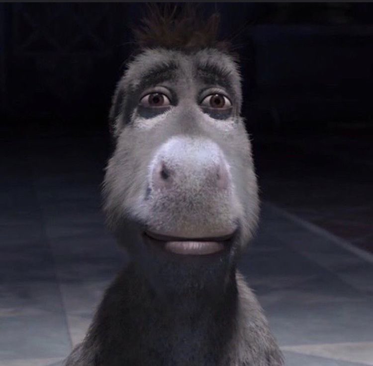 keptfighting's tweet image. ⠀
⠀
⠀