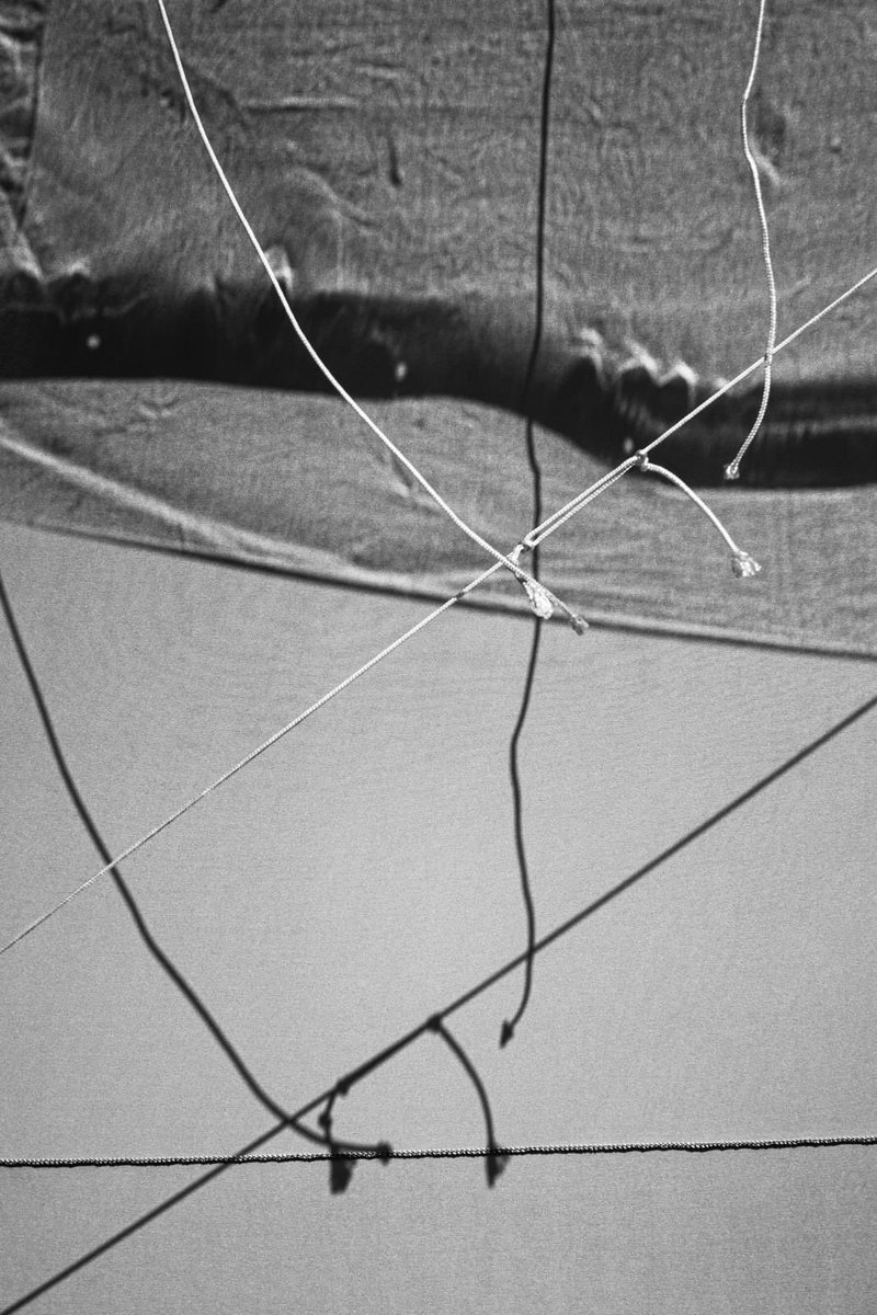 flavioedreira's tweet photo. tangled.
Photos @flavioedreira
#lines #Delusional #crossed #photography #photooftheday #interwined #memories #fotografia #noises #everywhere #secrets
#solitude #scream #puzzle #balance #tangled https://t.co/PKwi5KU7eD