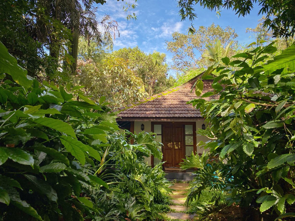 TasteWithRobin's tweet photo. Breathing the wild air amidst lush green coffee, tea & spice plantations, surrounded by the tropical rainforests of #Wayanad… Come join us in living a #SereneJourneys life with @PepperTrail.
#travel #authenticluxury #boutiquehotel #Kerala #rainforests #luxurytravel #Suitelife https://t.co/8Wptmktklr