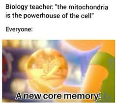 MYchondria23's tweet photo. Unforgettable. Let’s make this a year of memories with the mitochondria fueling your brain. #corememory #MHSOrganelleVote2022 https://t.co/JMU5DcKFmK