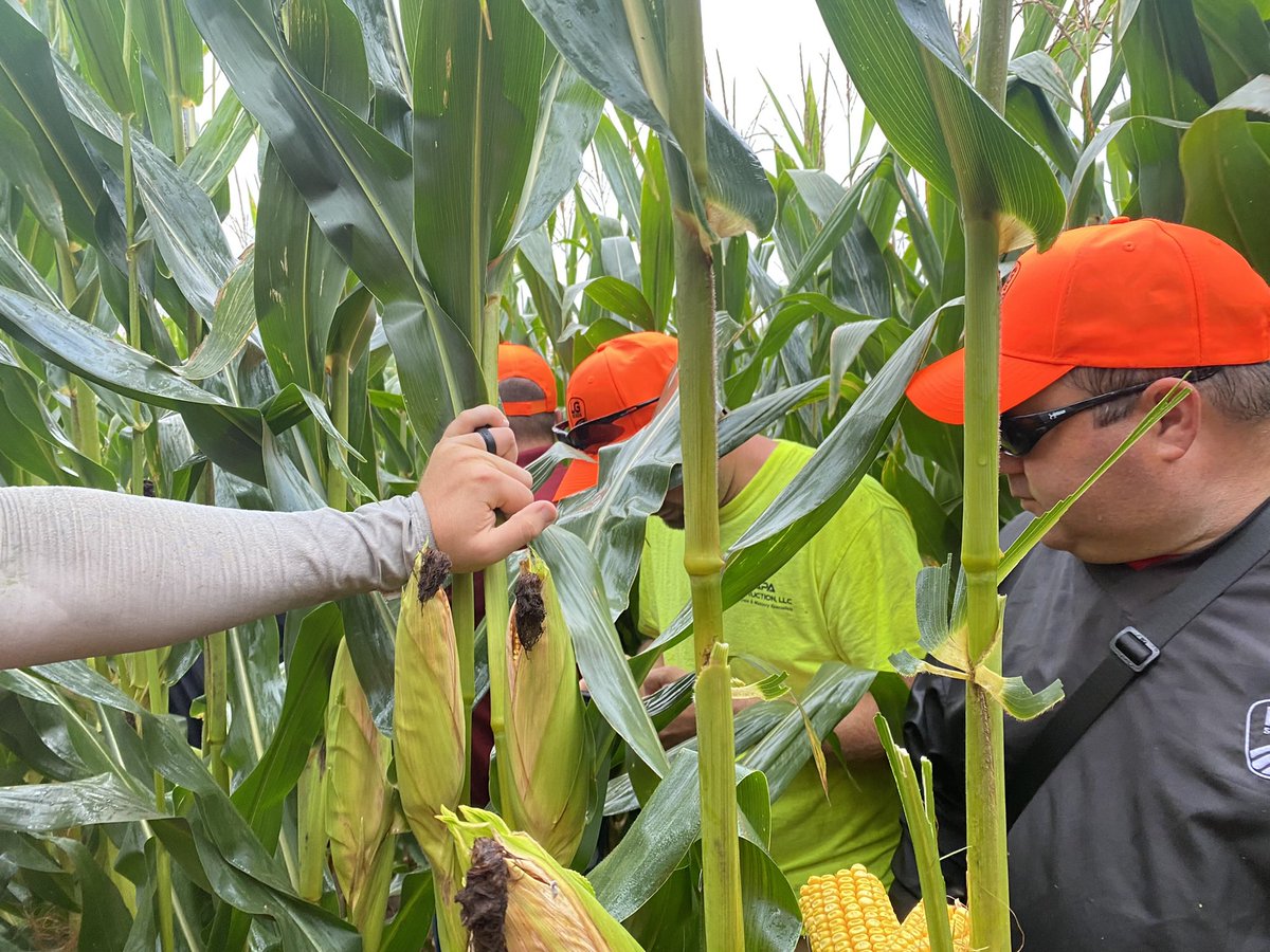 JustinKrell's tweet photo. We had a great @AgReliant PCR Experience Tour with the @LGSeeds Wisconsin team at our Adams, WI PCR. Exciting new products coming soon to an LG bag near you! #agreliantgenetics #lgseeds #uniqueoneofakindhybrids https://t.co/XrqnkHzTPU