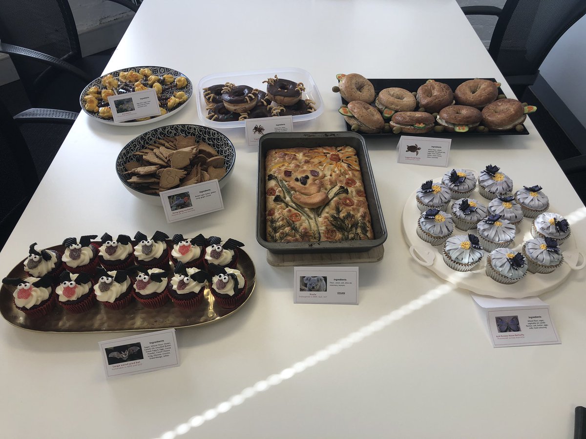 EmilyOquist's tweet photo. It’s threatened species day. #uts #pgld team contribution to #TSBakeOff 🦇 🦋  🐨 🐢 @UTSEngage @TSCommissioner https://t.co/R4tInUOBrm