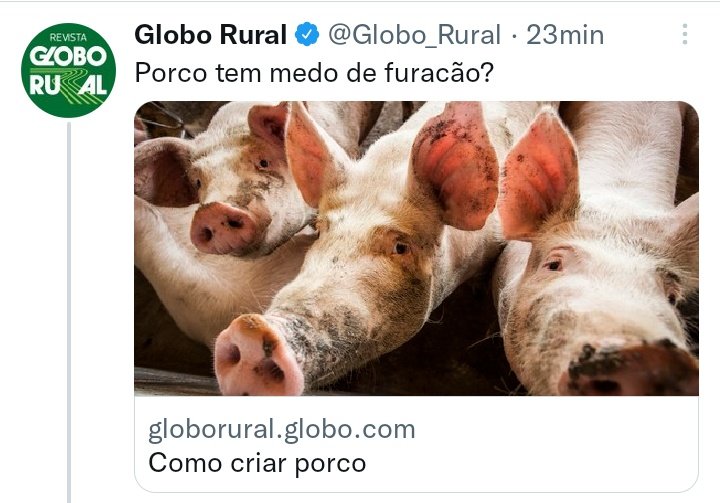 euwlm2020's tweet photo. @rbarreto @Libertadores @AthleticoPR Chora na cama porcadaa https://t.co/nkUmkpWvKb