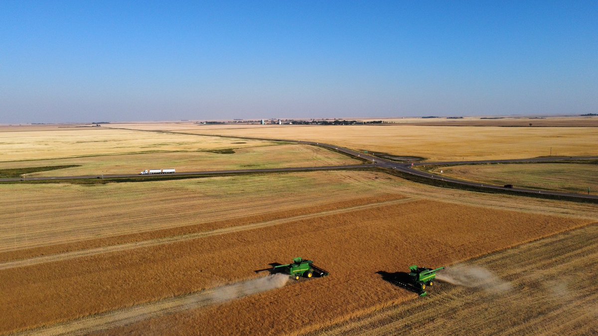 @WinFieldCanada Canola trial came off tonight near #Wrentham #CoreAg