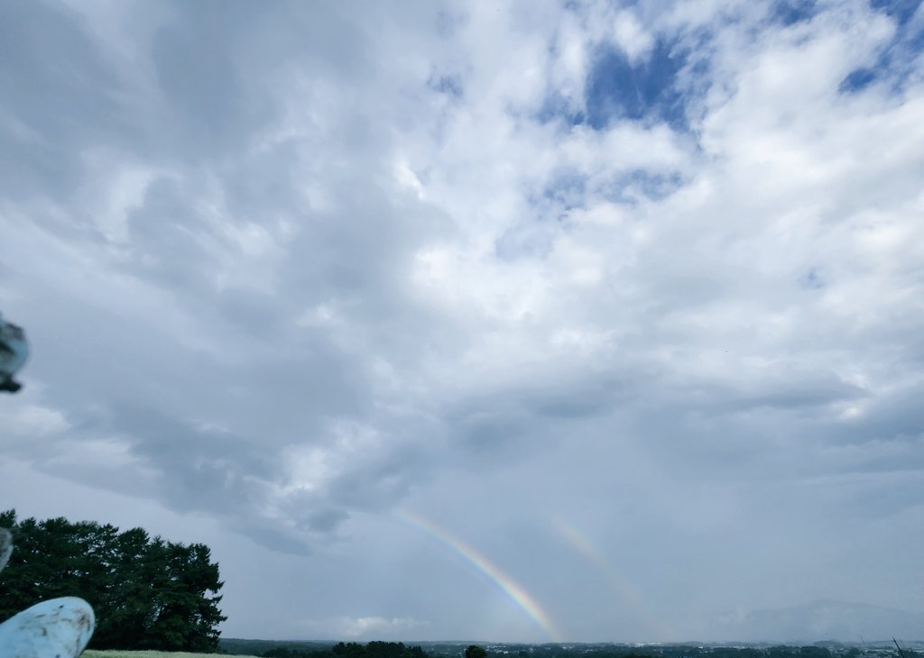 sorinra's tweet photo. とても久しぶりになってしまいました。
雨の止み間に霧が立ち込める通勤路、ツキノワグマが飛び出して来てあわや衝突しそうに。
成獣の熊を動物園以外で見たのは初めて。とてもじゃないけど生身で遭遇したら勝てない存在だと改めて実感。
怖かった！😱
#熊
#野生動物
#秋
#ツキノワグマ https://t.co/ichMhq5eg6