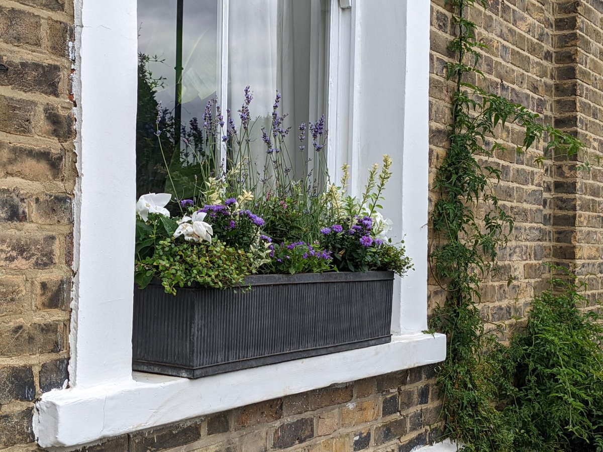 living_windows's tweet photo. Pinks and purples for this planting membership!
Like this look? Shop our zinc plated #windowbox planter: https://t.co/afkq9dWqCJ
#windowboxwednesday #windowboxesofinstagram #windowboxgarden #windowboxgoals #prettylondon #londoner #londonlife #mylondonhome #londonhome https://t.co/4KIqkyfSr8
