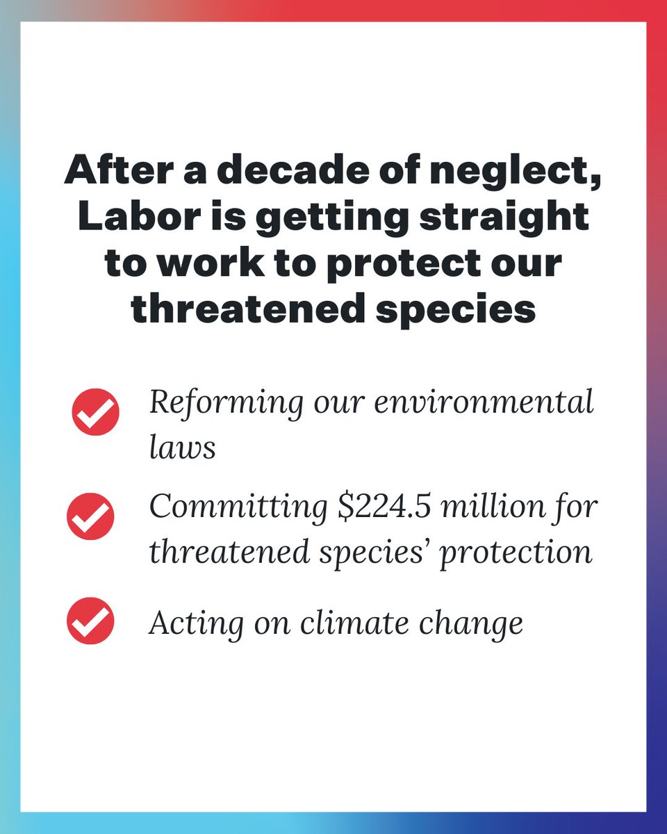 Tanya Plibersek tweet media