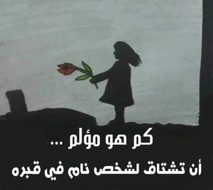 Hayam Abdelfatah (@hayamabdelfata1) on Twitter photo 