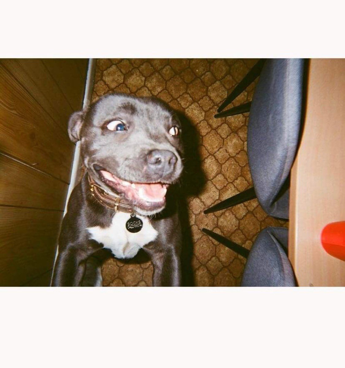 📷📷📷