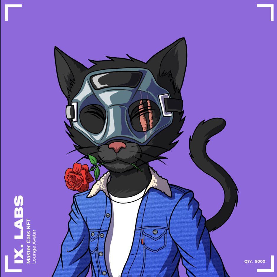 😄The Stray Cat：MINT IS LIVE tweet media