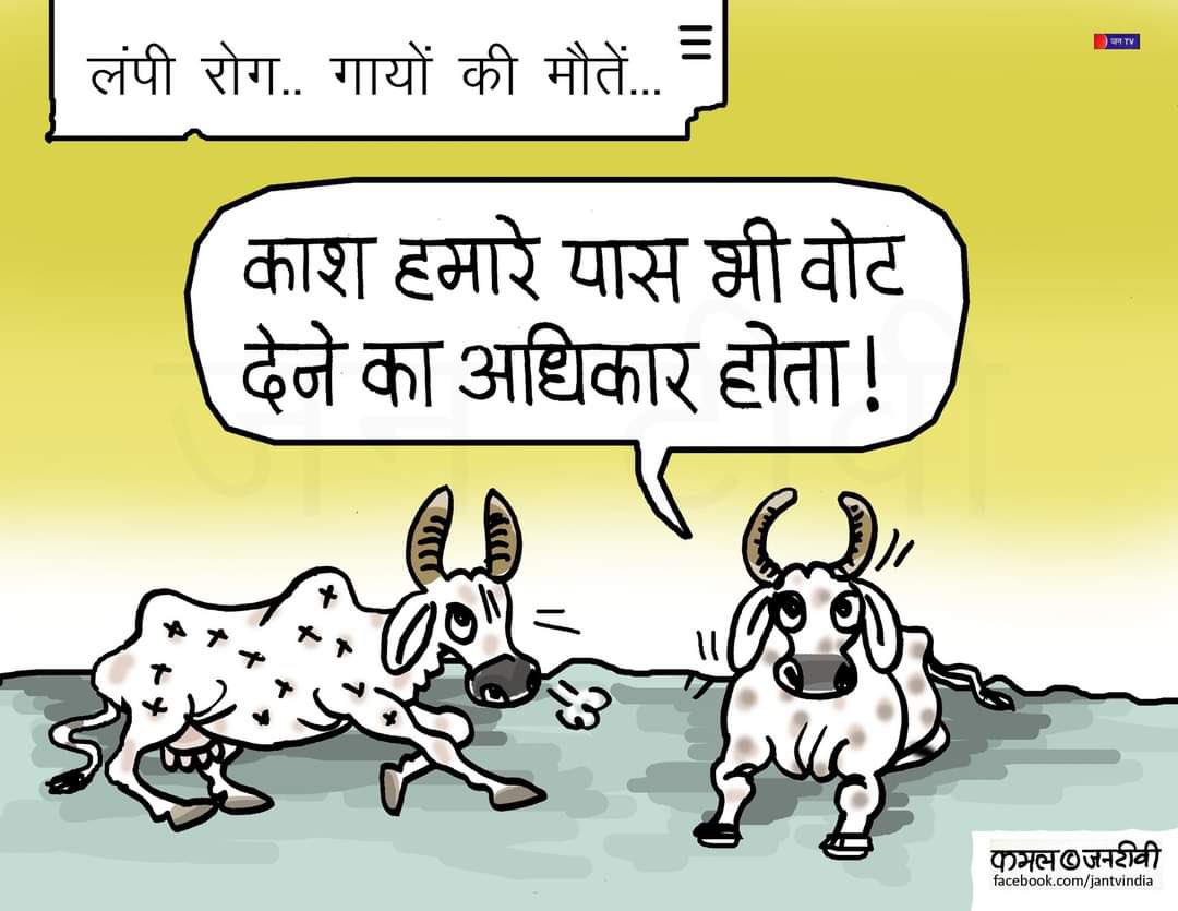 dholibishnoi029's tweet photo. गो रक्षा प्रमो धर्म ,गाय में फैलती जा रही बीमारी लंपी को महामारी घोषित किया जाए
@RajCMO
@VasundharaBJP @ashokgehlot51
 @PMOIndia #declarelumpyepidemic https://t.co/ILiwTHiFVT