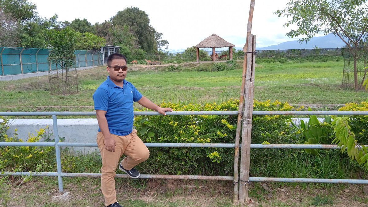 LunnLhouvum's tweet photo. Thrilled on seeing Sangai enclosure in Manipur Zoological Garden, Imphal. https://t.co/HcpesM93ZF