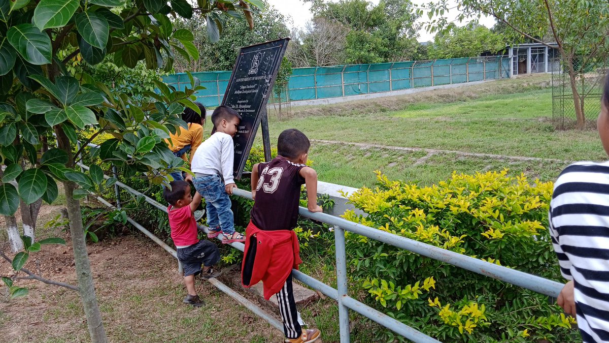 LunnLhouvum's tweet photo. Thrilled on seeing Sangai enclosure in Manipur Zoological Garden, Imphal. https://t.co/HcpesM93ZF