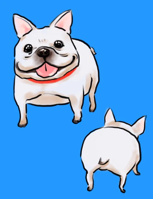 いつも朝会うフレンチブルがかわいい白い肌に赤い首輪がよく似合うぽてっとしたからだに短めの足でとことこ歩く姿が愛らしいニコニコの顔で楽しそうにお散歩してるかわいくてたまらん〜#イラスト #犬 #フレンチブルドッグ 