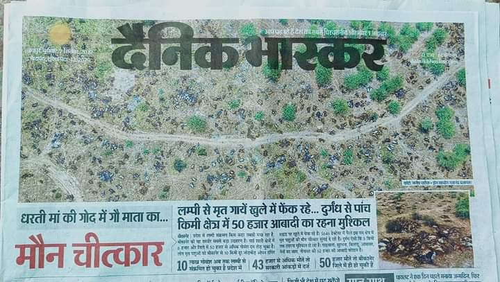 ShravanSRP's tweet photo. @SureshChavhanke @TigerRajaSingh @OmMathur_bjp @KapilMishra_IND @narendramodi @myogiadityanath @yogrishiramdev @AmitShah @rashtrapatibhvn @DN_Thakur_Ji @Ra_THORe @ashokgehlot51 @SrBachchan @akshaykumar @iamsunnydeol @usrp1973 @DDNewsHindi @dasraghubar @karansinghnet @SatishPooniaBJP @VasundharaBJP @ppchaudharybjp @gssjodhpur @harish25041 @PiyushGoyal @deepikapadukone @RanveerOfficial @drcpjoshi @Swamy39 @Tejasvi_Surya @nitin_gadkari @DilipRath10 @ravoria @DrKathiria @jai_krishnaa @cowsblike @girirajsinghbjp @NDDB_Coop @dairytodayin @DairyGyanIndia @GauPrem @Goumatha @KailashBaytu @AshwiniUpadhyay @girdharisingh71 @virendra79 @indigenouscows @RSSorg @chidswami सभी गौसेवा सगठनों गौशालाओ भामाशाहों दानदाताओ ओर भी अन्य सगठनों से निवेदन है कि गौमाता पर आई महामारी आपदा में आगे आये वरना पूरा गौवंश खत्म हो जाएगा इसलिए आप सभी इस महामारी में आगे आकर गौवंश को बचाये https://t.co/g2yvafSieW