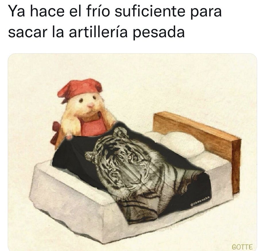 xavibiker's tweet photo. Esta noche estará mas frio que tu corazón bby🦙🤣🥶.
Vengase cobija de tigre https://t.co/WIii4gCAlM