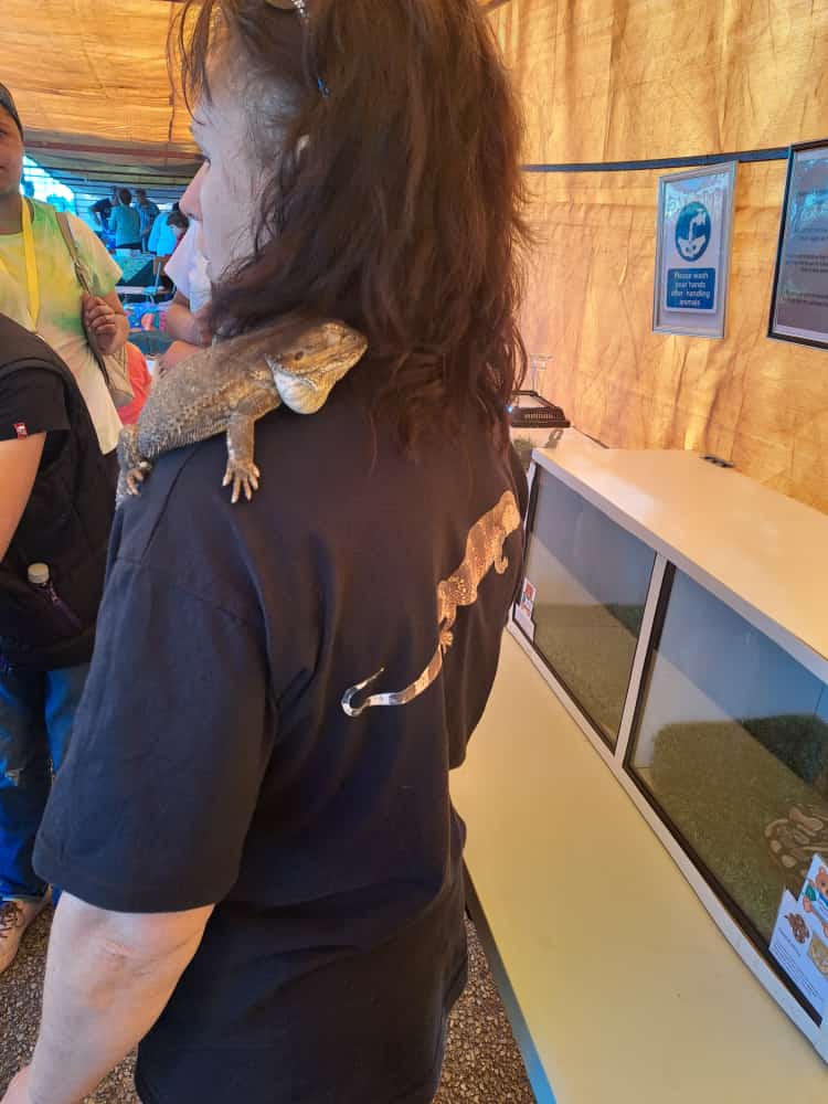 humkoop's tweet photo. Here is another Ssssssssneak preview of what you can expect at the MELKFEES 2022 23+24 Sept, Ferry Hotel, Gamtoos!
20 different type of animals that kids can pick up and take pics with and learn about.  Exotic pets farm animals and reptiles! #festivals #kouga https://t.co/OEuC8Gh2Nj