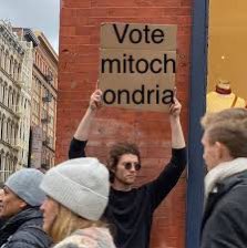 MYchondria23's tweet photo. You heard it here first! #guywiththesignsupports! #votemitochondria #MHSOrganelleVote2022 https://t.co/UC1fyOFVyS
