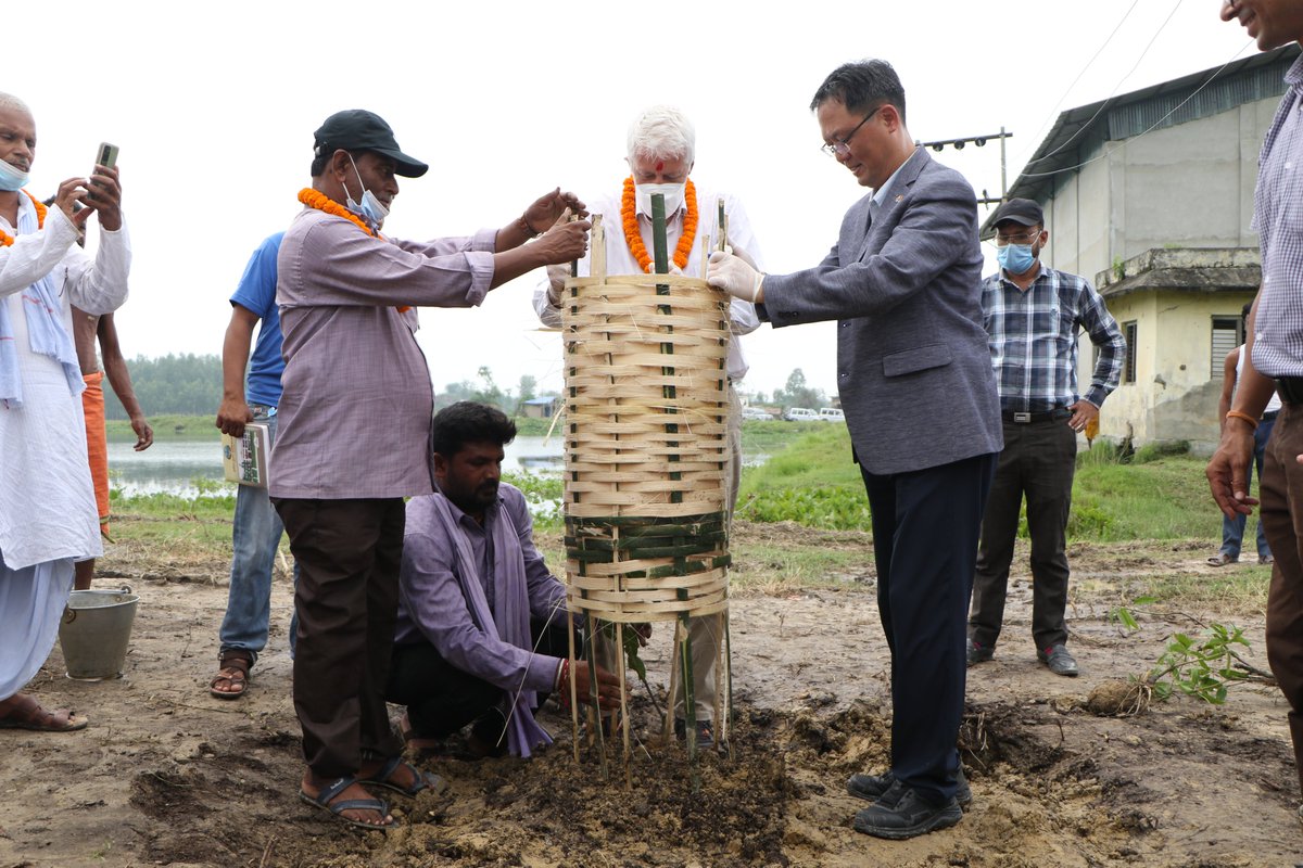 gggi_nepal's tweet photo. Aug 30, 2022

The Climate Smart Agriculture (#CSA) Project was inaugurated by planting mango saplings at the edges of a pond at Mukhiyapatti Musaharniya Rural Municipality, one of the project implementation areas.
 #CSAProject #GoN #KoreanEmbassy #KOICA #GGGINepal #GNI https://t.co/3yaelXmC1Y