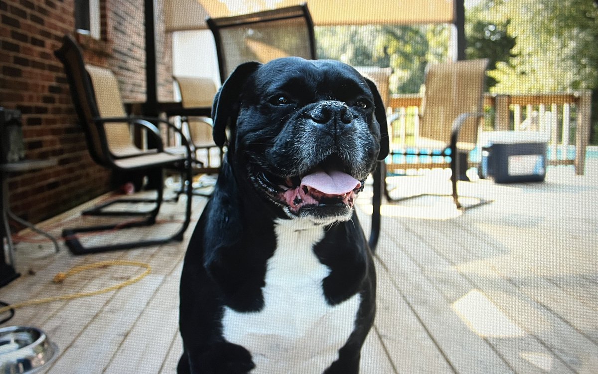 mckennamarie07's tweet photo. the sweetest old man, i miss him so much https://t.co/ET0cFmfFDk