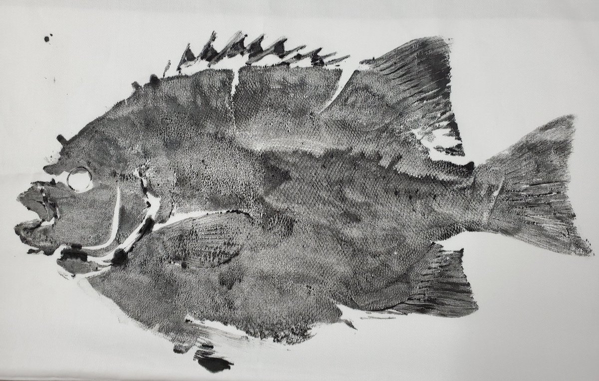 凄く久々に呟くでござる。
50オーバーのイシガキダイを釣ったので、それがし素人ながら初めて魚拓とってみたでござる。
次はもっと勉強して格好よく写してあげたいでござる。