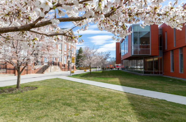 studydestiny's tweet photo. [America]Adelphi University

- Big enough to matter, small enough to feel like home - At Adelphi, you’ll find a close-knit community within a nationally ranked research university.

For more information
https://t.co/OI983PJASY https://t.co/6KzbdPx0zS