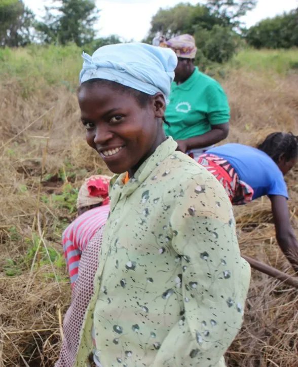 IFDCMozambique's tweet photo. In 2021, Noรฉmia Joรฃo, through #TEAMSProgram had the opportunity to learn improved production practices combined with the use of improved inputs including #seeds, #fertilizers & pesticides that guarantee high yields. This helped produce differently in her #horticultural field https://t.co/wirjmD6fz8