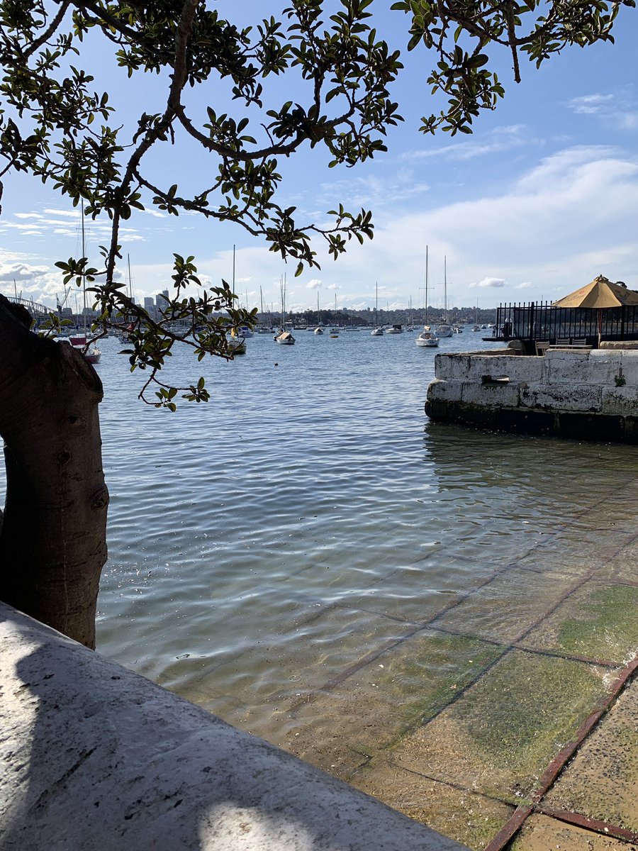 kgfreyer's tweet photo. Couldn’t think of a better spot to be #DarlingPoint #Vaucluse https://t.co/aqnGSU3fhR
