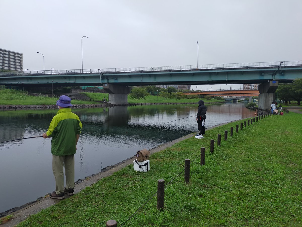 ct_fishing's tweet photo. 釣りツアーで東京都江東区を流れる旧中川に来ています
本日のターゲットはマハゼ
大きい魚に引けを取らない面白さ
手元に伝わるプルプルッという小気味よい引きを楽しんでいます
#釣りツアー　#ハゼ釣り　#CT釣り部 https://t.co/mj4fuDg4l2