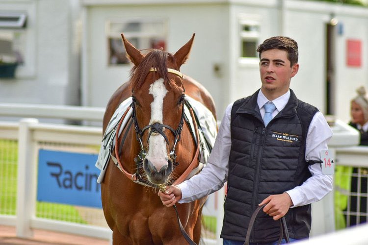 URSAMAJORRACING's tweet photo. 💓💛 HAPPY RETIREMENT 💛💓

Today we can announce that the decision has been taken to retire our Sunday Series winner, the Queen of Ursa, the one and only Candescence.

Here, we pay tribute to a legend who took us to places we could only dream about.

▶️ https://t.co/754g844ArR https://t.co/QpfIgGu4co