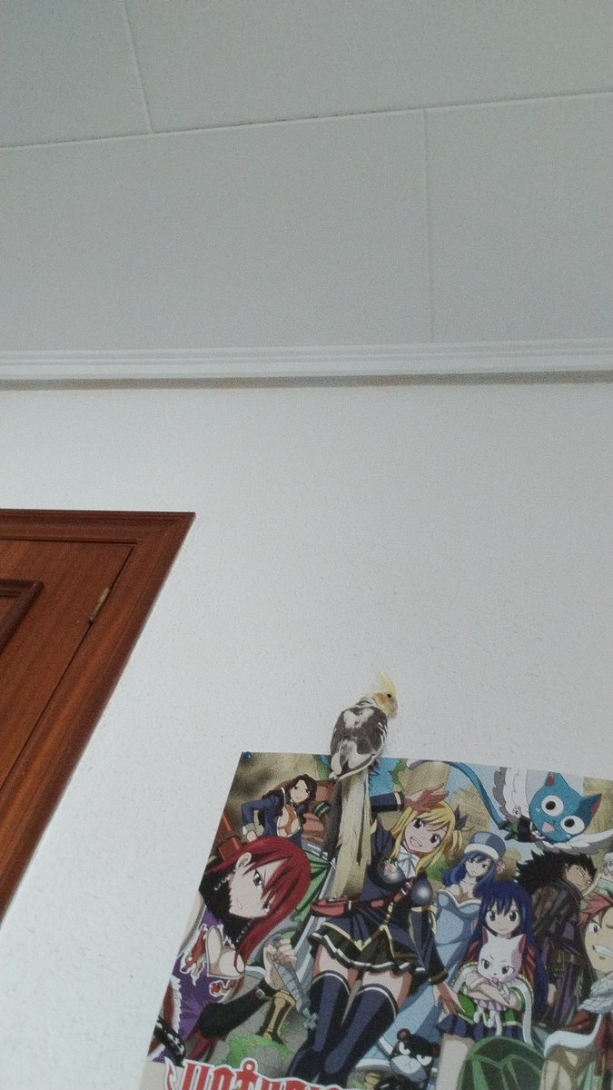 itsryui's tweet image. me va a romper el póster que tanto me costó conseguir, me voy a mat4r T.T