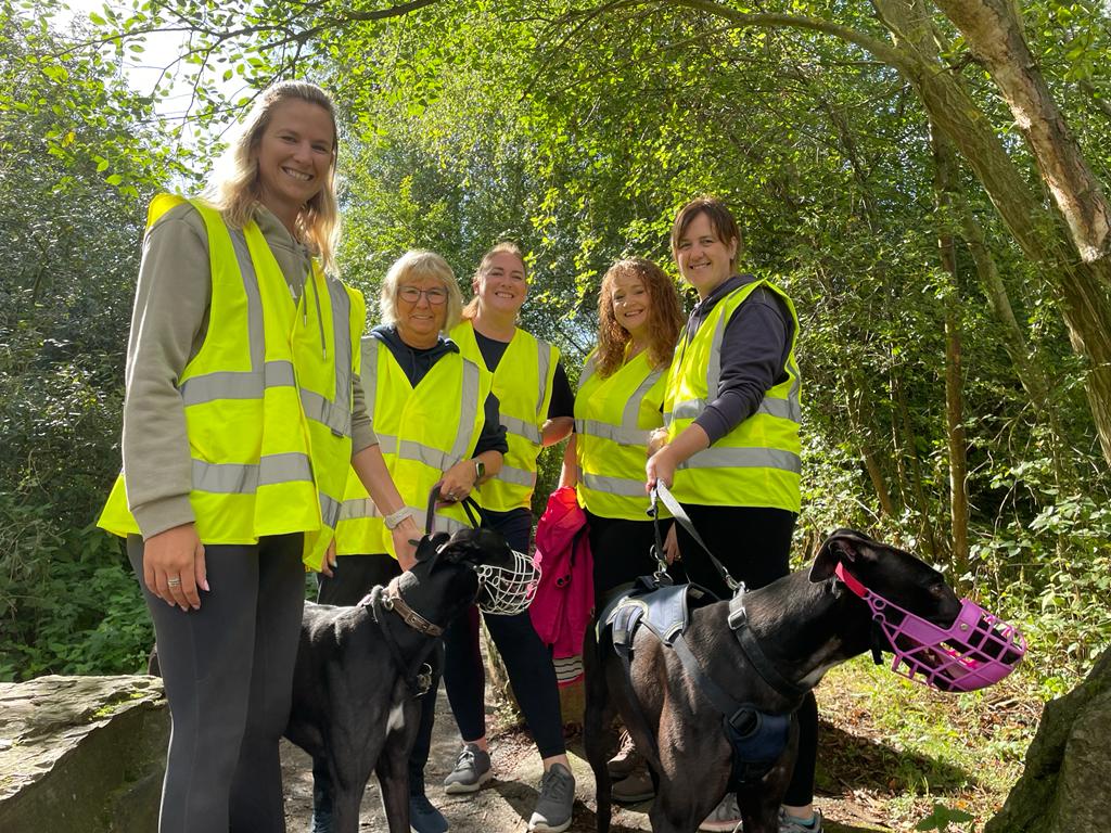 College of Social Sciences and Arts tweet media