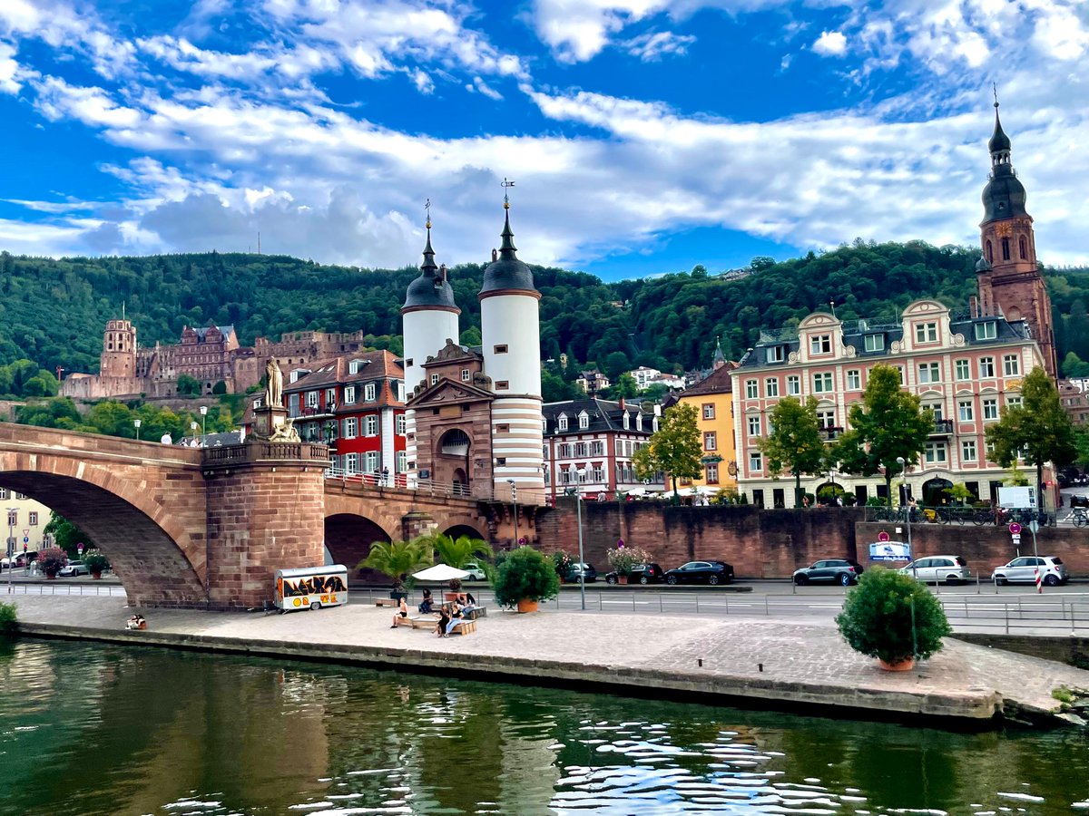 DanDaviesMD's tweet photo. Having a great time presenting at #ISA22 #amyloid and exploring Heidelberg, Germany. Thanks to @abouezzeddine @MarthaGrogan1 @MayoCVFellows https://t.co/xUtITEYkfd
