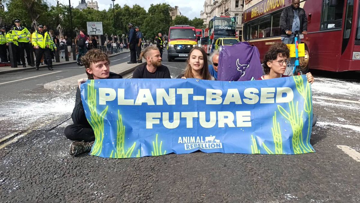 AnimalRising's tweet image. ❗HAPPENING NOW❗
Animal Rebellion has sprayed Big Ben white! The road has been blocked, and white paint from milk bottles poured onto the street demanding the government support a Plant-Based Future. 
Inspired? Check out what's happening soon in the link in our bio 🌱