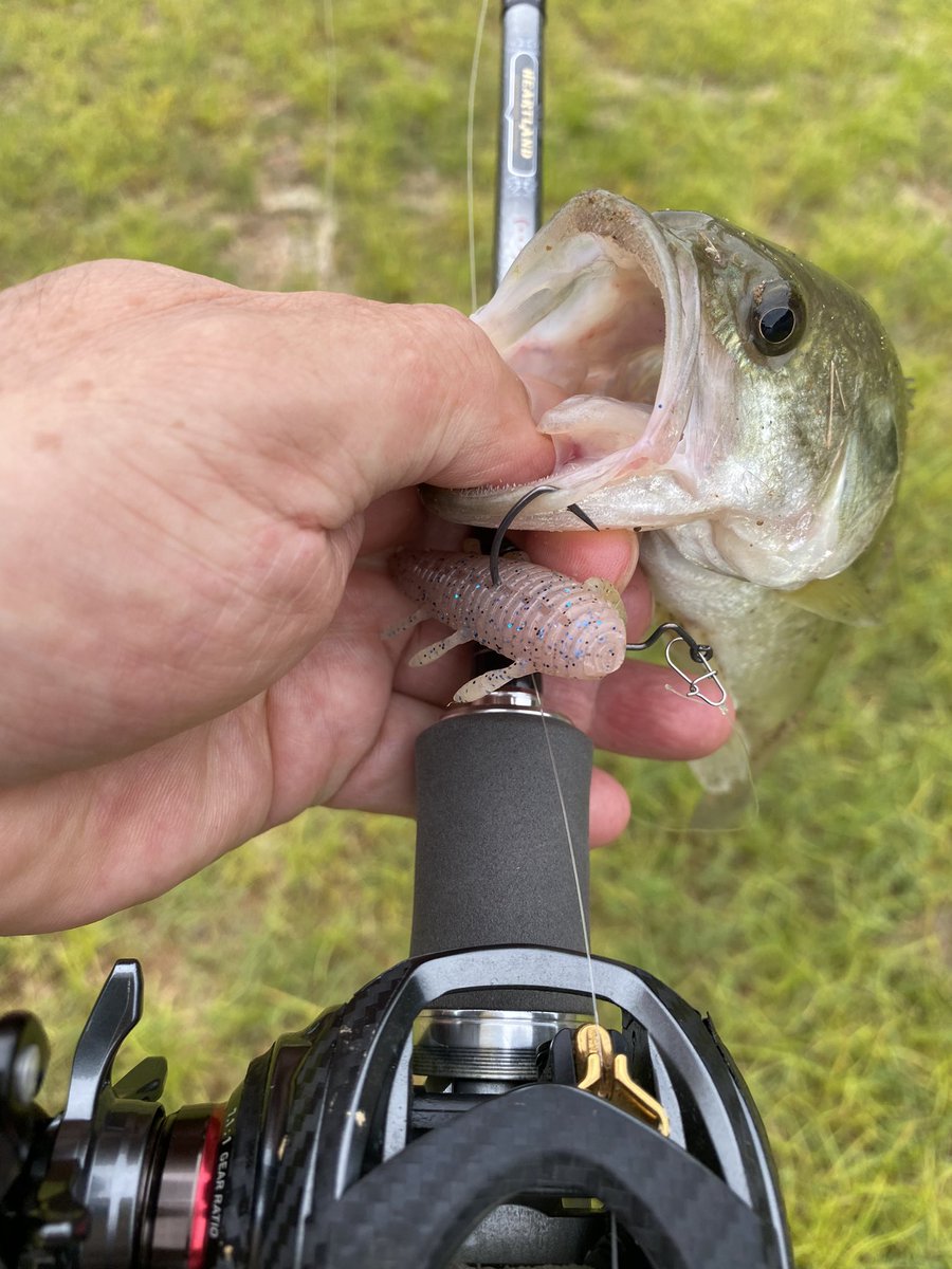 12ドットスリー - Search / X