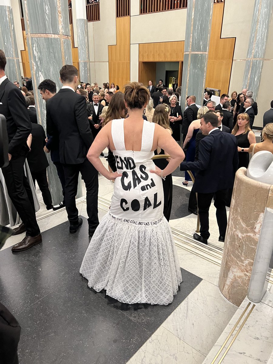 sarahinthesen8's tweet photo. My dress for the Parliamentary ball was made by Adelaide artist Elizabeth Cahalan. 
If we are to stop the climate crisis we need to stop new coal and gas. https://t.co/jqoLGMaQmC