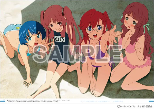 『舞-HiME』『家庭教師ヒットマン REBORN!』『とらドラ!』『学園黙示録 HIGHSCHOOL OF THE DEAD』『あの日見た花の名前を僕達はまだ知らない。』『あの夏で待ってる』等のイラストを収録。さらに小説の挿絵等も載せています。 
