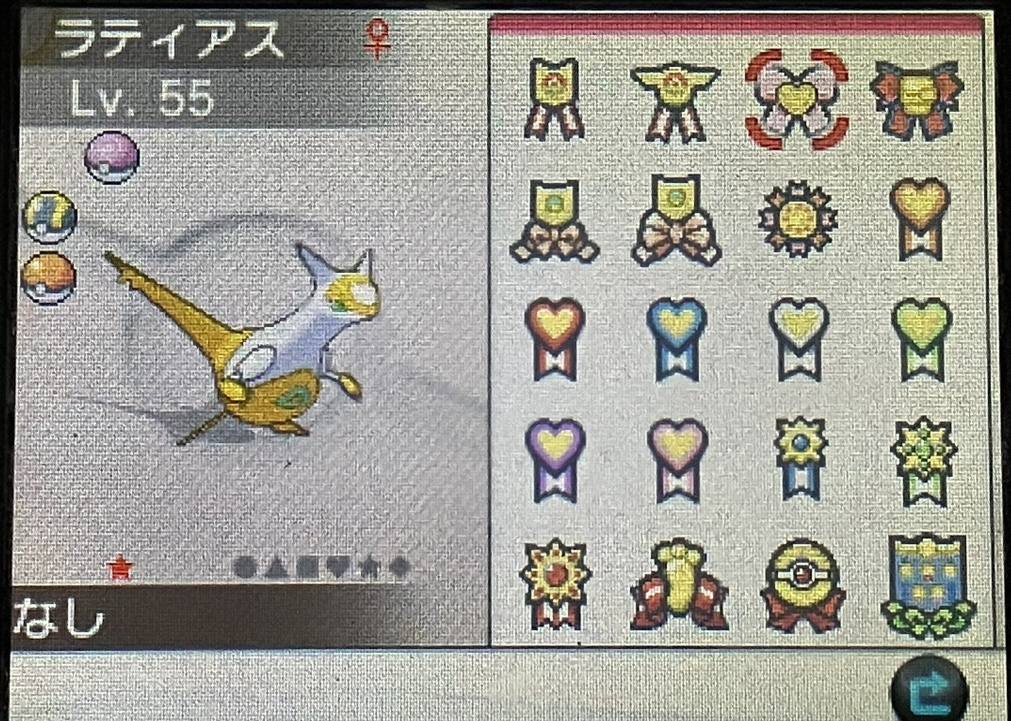 ポケパルレ Twitter Search Twitter