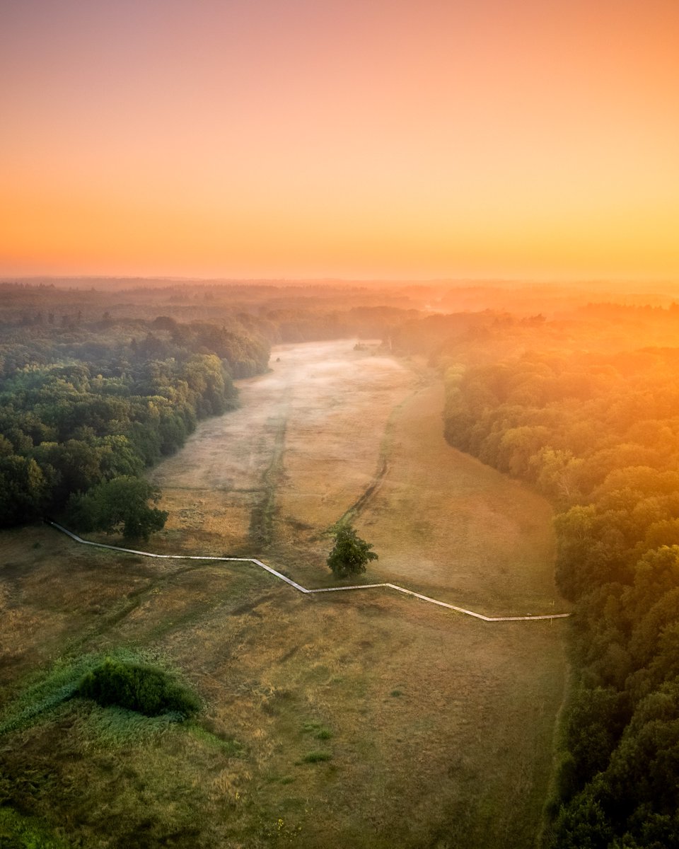 We're slowly moving into autumn🍁Can't wait for more of these beautiful foggy mornings. Do you look forward to autumn?#autumnvibes #foggymorning #renkumsbeekdal #renkum