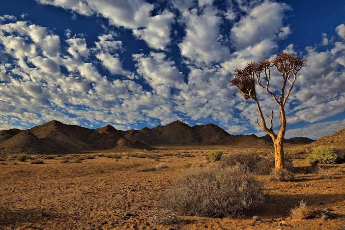 myncapetv's tweet photo. ... /Ai/Ais-Richtersveld Transfrontier Park, Augrabies Falls National Park, Kgalagadi Transfrontier Park, Mokala National Park. The launch of the free week will be on the 11th September at Augrabies Falls National Park @GailMabalane @mabaso_khanyi @motheoseleke @MySPU @SA_NLC https://t.co/9EAks1PMGl